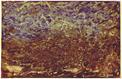 Real Paintings for Sale